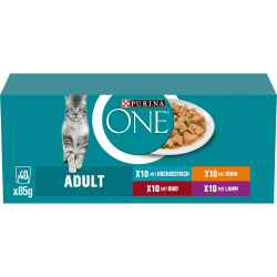 🐱 PURINA ONE Adult Katzenfutter Nass 40er Pack 🐟🍖 Angebot bei HelloDeals