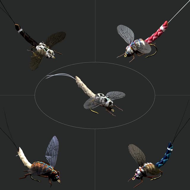 🎣 Fliegenfischen Fliegen-Set mit Fliegenbox/Nymphen/Trockenfliegen,Nassfliegen/Streamer/Realistische Fliegen Schwarz