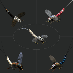 🎣 Fliegenfischen Fliegen-Set mit Fliegenbox/Nymphen/Trockenfliegen,Nassfliegen/Streamer/Realistische Fliegen Schwarz