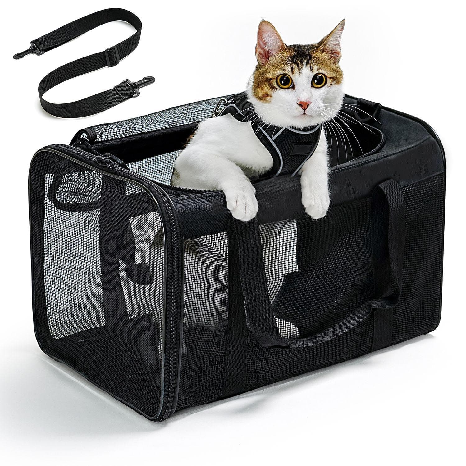 🐱 Conlun Katzentransportbox: Weiche Katzentransporttasche für kleine & mittelgroße Katzen 🐾