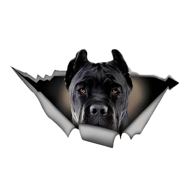 Autoaufkleber Cane Corso 3D Zerrissen Reflektierend 22cm