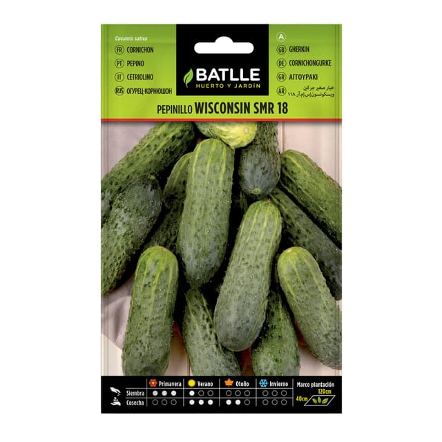 🌱 Super Angebot! Batlle Gemüsesamen - Gurke Wisconsin SMR 18 (220 Samen) - Nur 3.7€