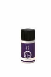 Nanolex Ultra Glasversiegelung 30 ml 🚗💧