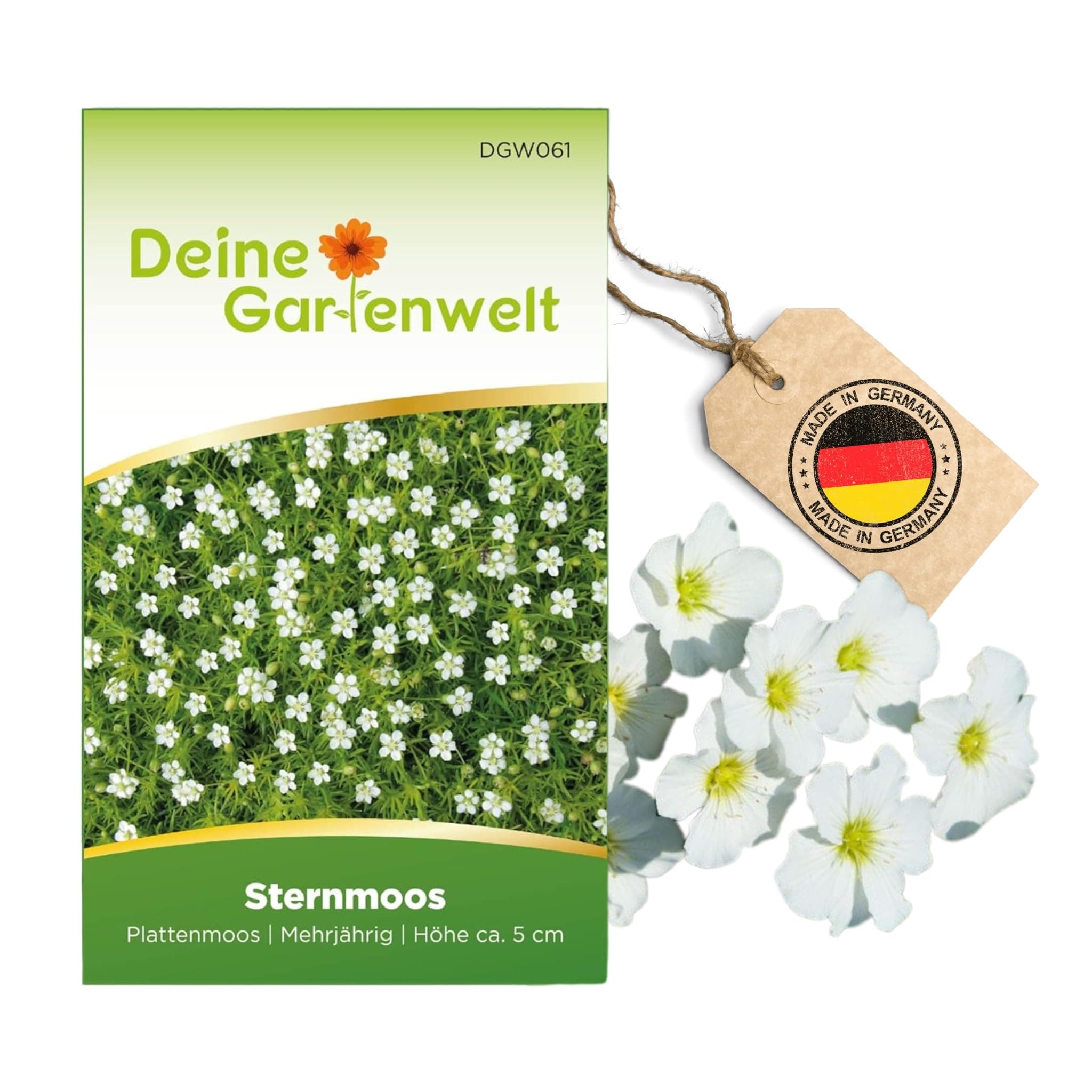 Sternmoos Mastkraut Plattenmoos Samen - Saatgut für 400 Pflanzen 🌱