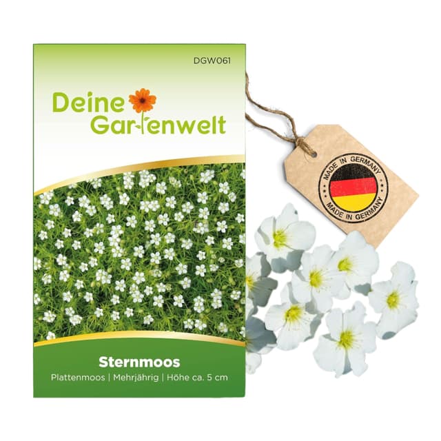 Sternmoos Mastkraut Plattenmoos Samen - Saatgut für 400 Pflanzen 🌱