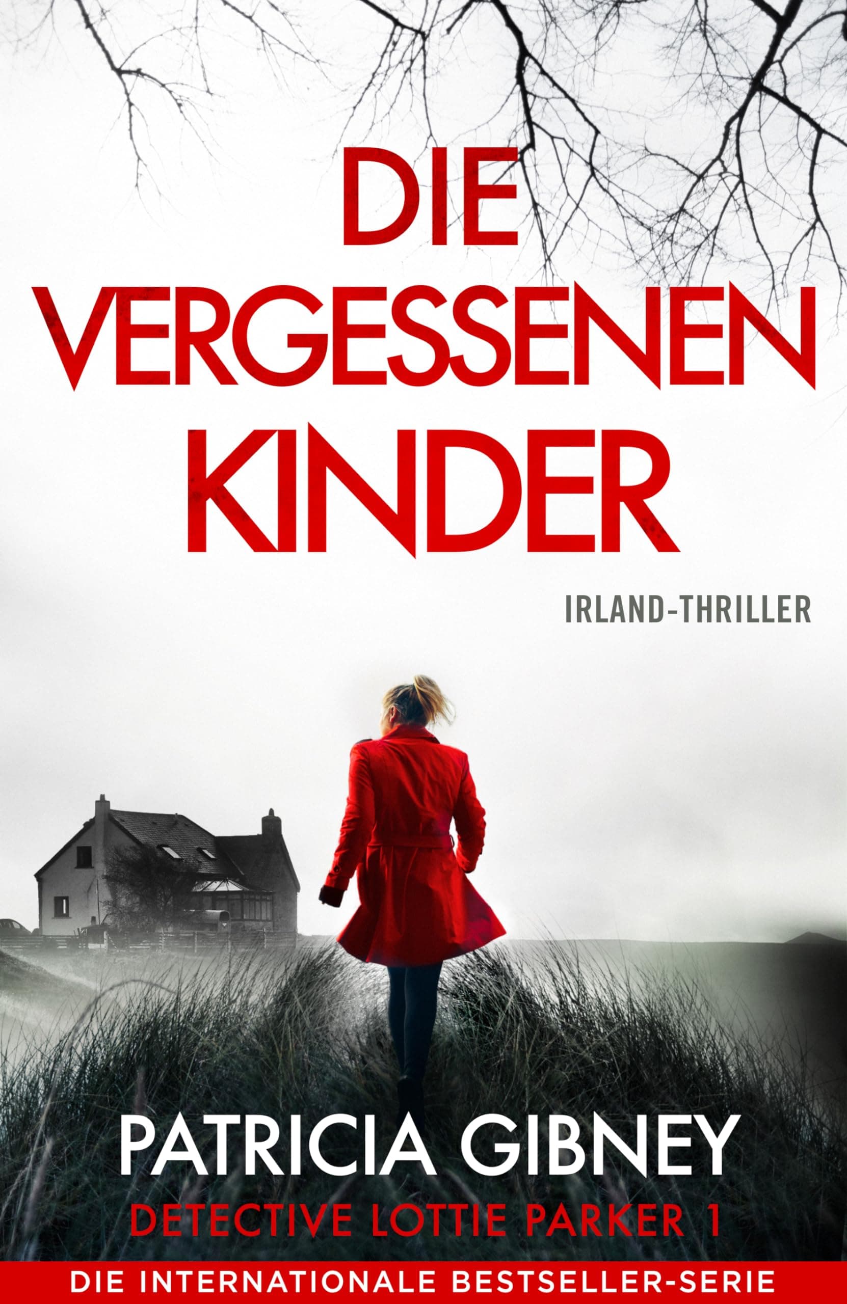 Die vergessenen Kinder: Irland-Thriller (Detective Lottie Parker 1) 🕵️‍♀️