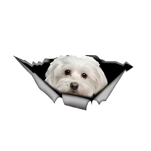 🚗🐶 Autoaufkleber 22cm Malteser 3D Zerrissen Reflektierende Lustig Haustier Aufkleber