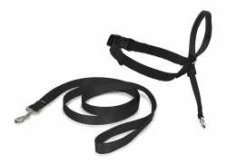 🐾 PetSafe Easy Walk Kopfhalfter für Hunde 🐶