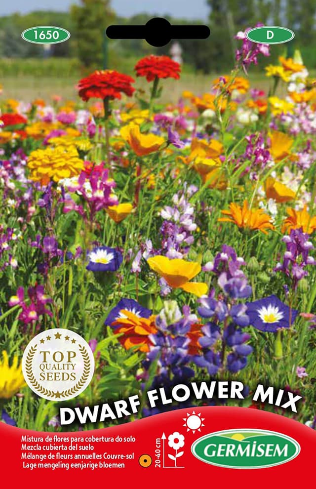 🌸 Germisem Blumenmischung, mehrfarbig, EC1650 - Spezielles Angebot!