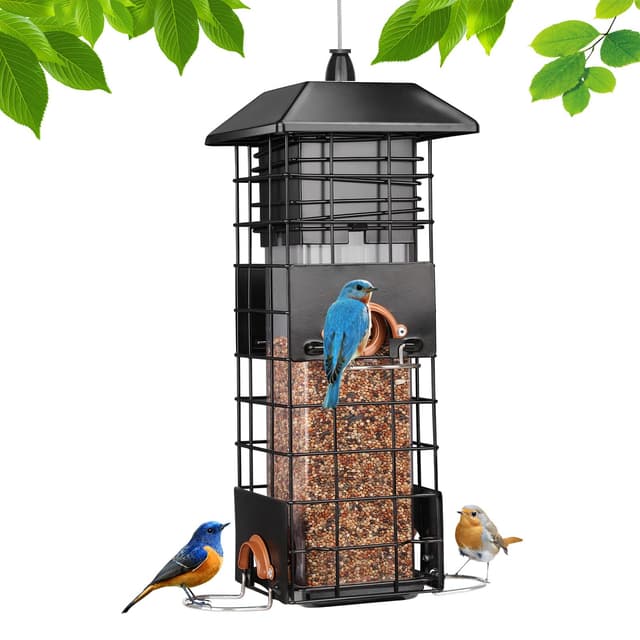 🦜🐿️ Vogelfutterspender für Wildvögel - Eichhörnchensicher und Hochwertige Metallkonstruktion