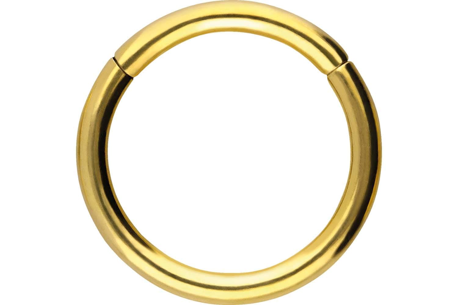 PIERCINGLINE Segmentring Clicker aus Titan - Piercing für Nase, Septum, Ohr, Helix oder Tragus Goldfarben 0,8 mm Stabstärke | 7 mm Innendurchmesser 🌟