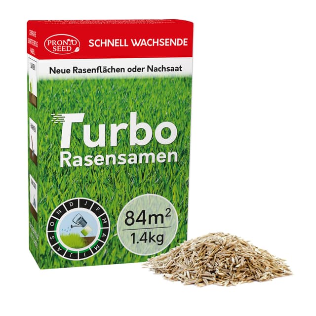 Pronto Seed Rasensamen – 1,4 kg Premium-Qualität 🌱🏡