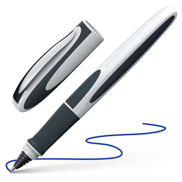 🖋️ Schneider 187849 Ray Tintenroller weiß/dunkelgrau - Deal des Tages! 🎉