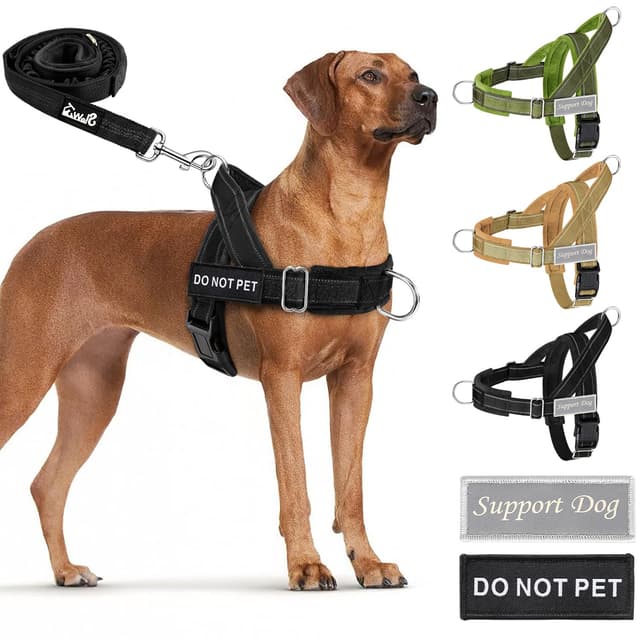 🐾 Eyein Hundegeschirr mit Leine für große mittelgroße Hunde 🐕‍🦺