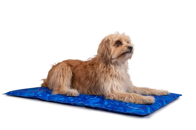 TrendPet Arctic Comfort - Premium Kühlmatte für Hunde 🐾🌞
