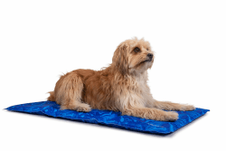 TrendPet Arctic Comfort - Premium Kühlmatte für Hunde 🐾🌞 Angebot bei HelloDeals