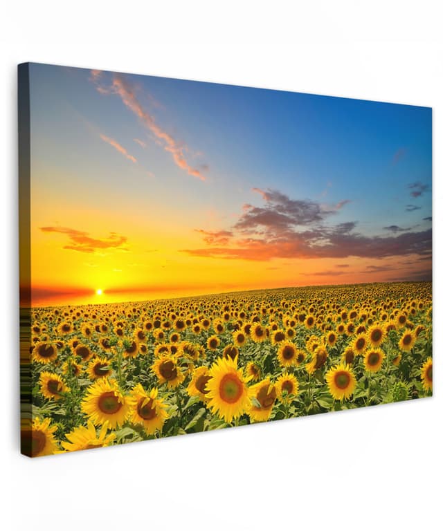 MuchoWow© Bild auf Leinwand 60x40 cm 🌻🌅