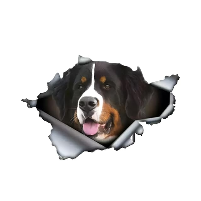 Berner Sennenhund Autoaufkleber 3D - Lustige Haustier Hundeaufkleber