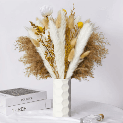 Natürliche Trockenblumen Pampasgras Deko 🌾 Getrocknete Pampasgrasdekoration