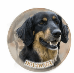 Autoaufkleber Hovawart Aufkleber 15cm(5.9 Inch) Hovawart Personalisieren Reflektierende Aufkleber 3D Zerrissen Aufkleber Haustier Hund Lustig Autoaufkleber Hovawart Car Sticker Lustig Dekor 15cm(5.9Inch) 🚗🐶