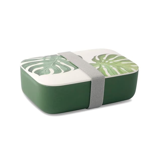 🌿🍱 GREENBOX PLA Brotdose Pausen-Box Blätter | Lunchbox umweltfreundlich