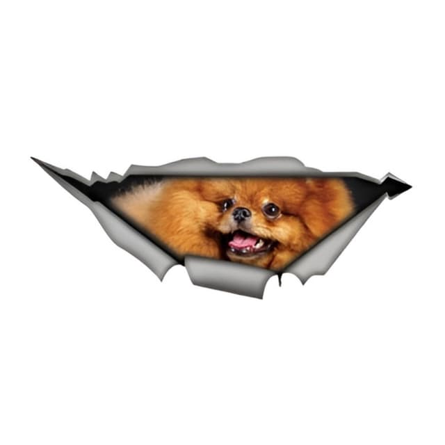 🚗🐶 Pomeranian Autoaufkleber 3D - Lustige und reflektierende Dekoration für Tierliebhaber
