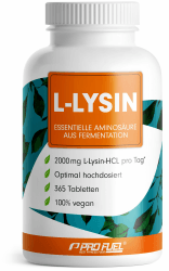 L-Lysin Tabletten 365x - Optimal hochdosiert mit 2000 mg Lysin-HCL pro Tag
