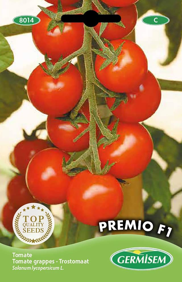 🍅 Germisem Tomate PREMIO F1 - Samenaktion 🌱