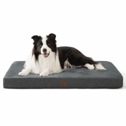 🐶🛏️ BEDSURE Orthopädisches Hundekissen für große Hunde - 89x56x8cm - Dunkelgrau