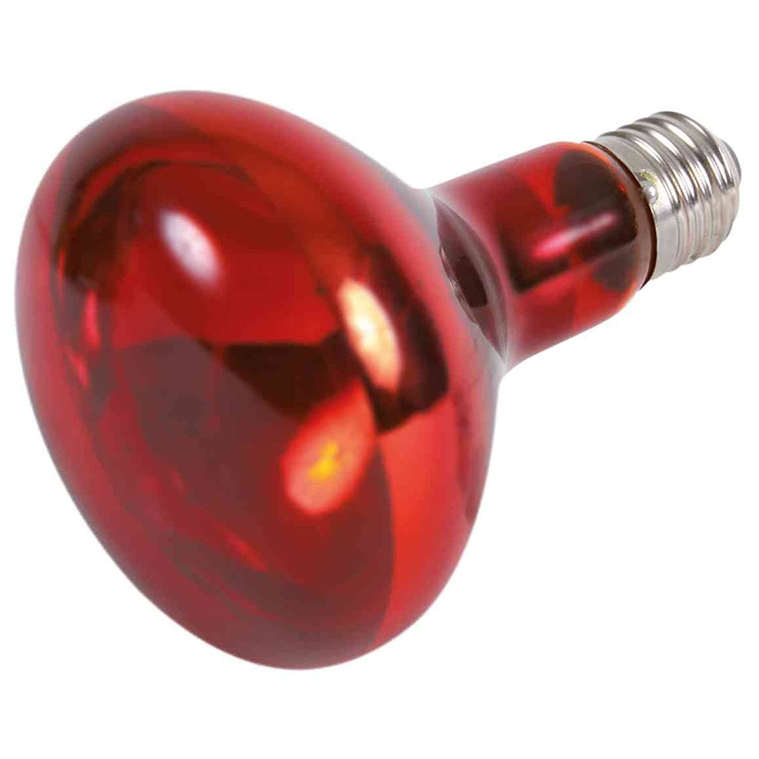 🦎 Trixie 76098 Infrarot Wärme-Spotlampe, 150 W, ø 95 x 130 mm, Schwarz 150 Watt - Speziallampe für Terrarien