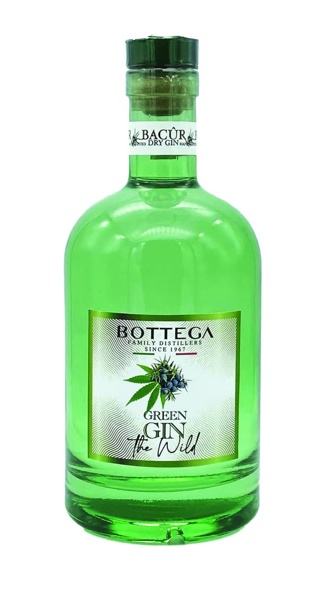 🌿🍋🍸 Bottega Distilled Dry Green Gin The Wild - 700ml Angebot