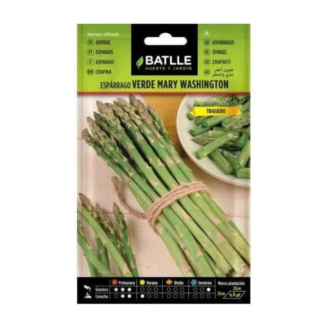 🌱🌿 Batlle Gemüsesamen - Grüner Spargel Mary Washington (120-180 Samen) - Sonderangebot!