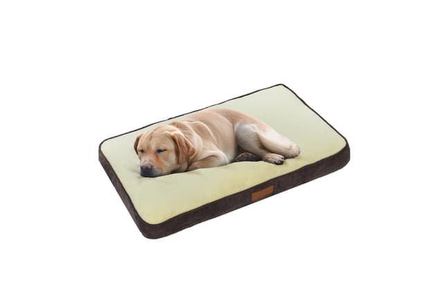 Ellie-Bo Hundebett für Innen, Matratze weich und waschbar, Größe XXL