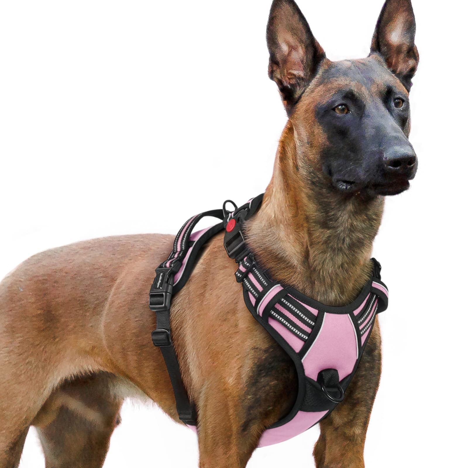 🐶🌸 Rabbitgoo Hundegeschirr für Große Hunde | Anti Zug & Würgen | Rosa XL