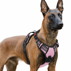 🐶🌸 Rabbitgoo Hundegeschirr für Große Hunde | Anti Zug & Würgen | Rosa XL