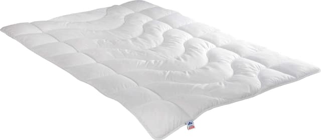 🌟 Sommerdecke Irisette Lotte - Leicht & Klimaregulierend 🛏️