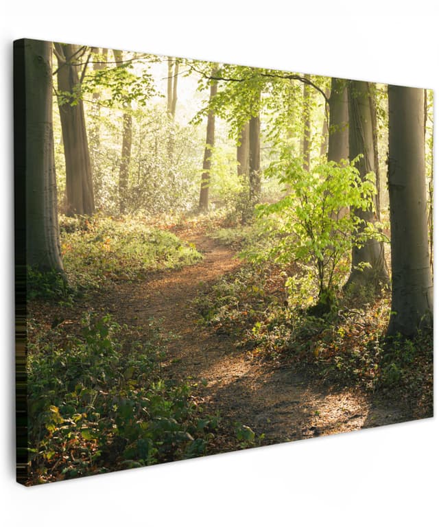 🌳🖼️ MuchoWow© Bilder 70x50 cm - Moderne Wanddekoration für Ihr Zuhause 🏡