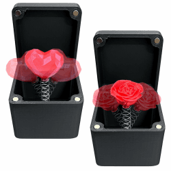 🌹🎁 Giugio Rose Geschenkbox - 3D-Bedruckte Rosen/Herzen in Einer Box