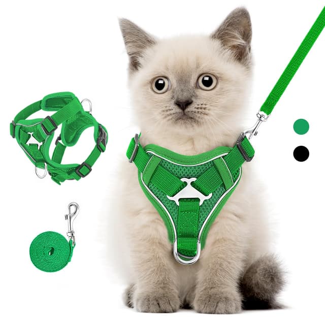 VavoPaw Katzengeschirr und Leine Set für Spaziergänge 🐱💚