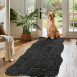 🌟 Biscpro Fußmatte Innen Weicher 60 x 150 cm Dunkelgrau 🌟