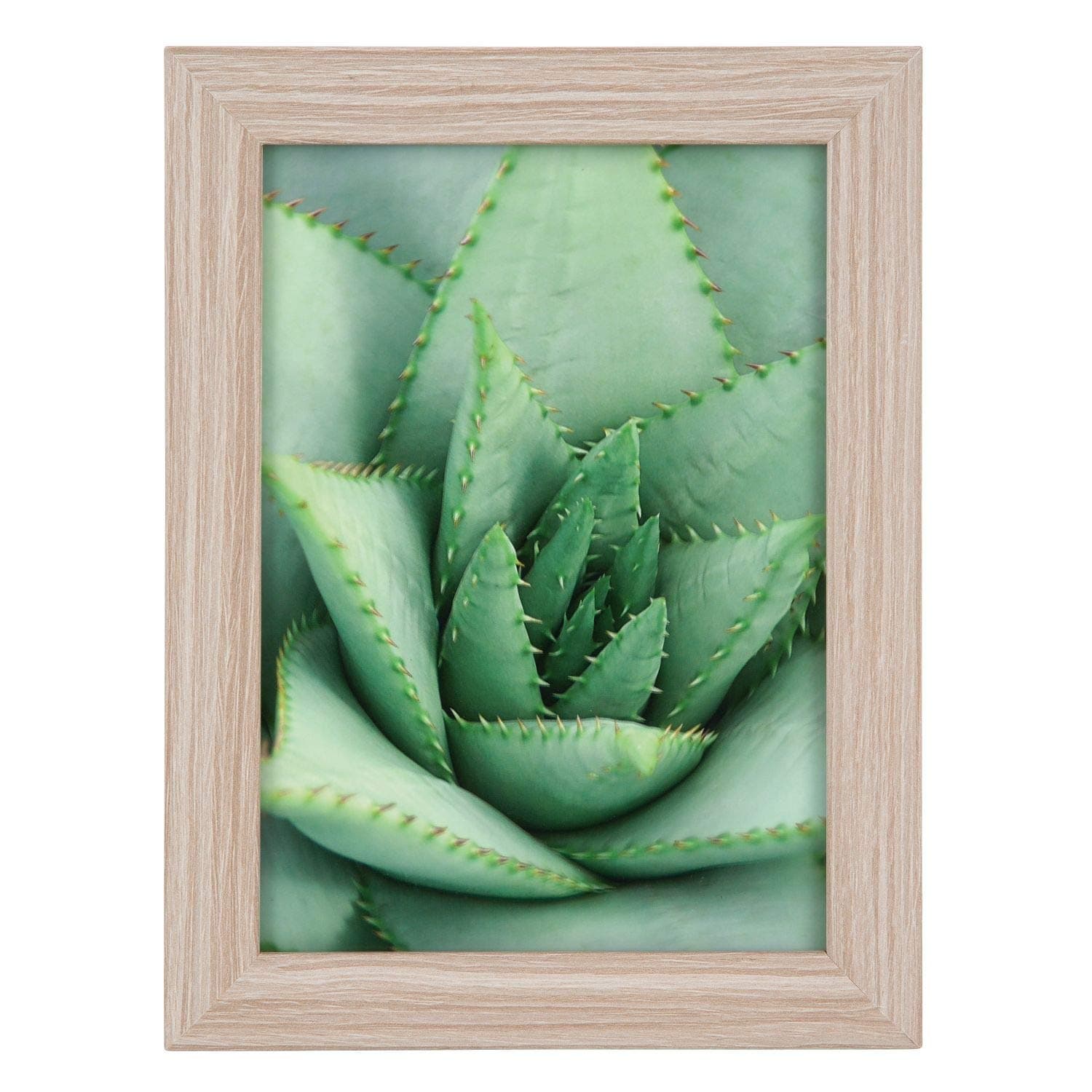 GOLDBUCH Bilderrahmen Toscana aus Holz | Fotorahmen für 10x15 cm Fotos 🖼️