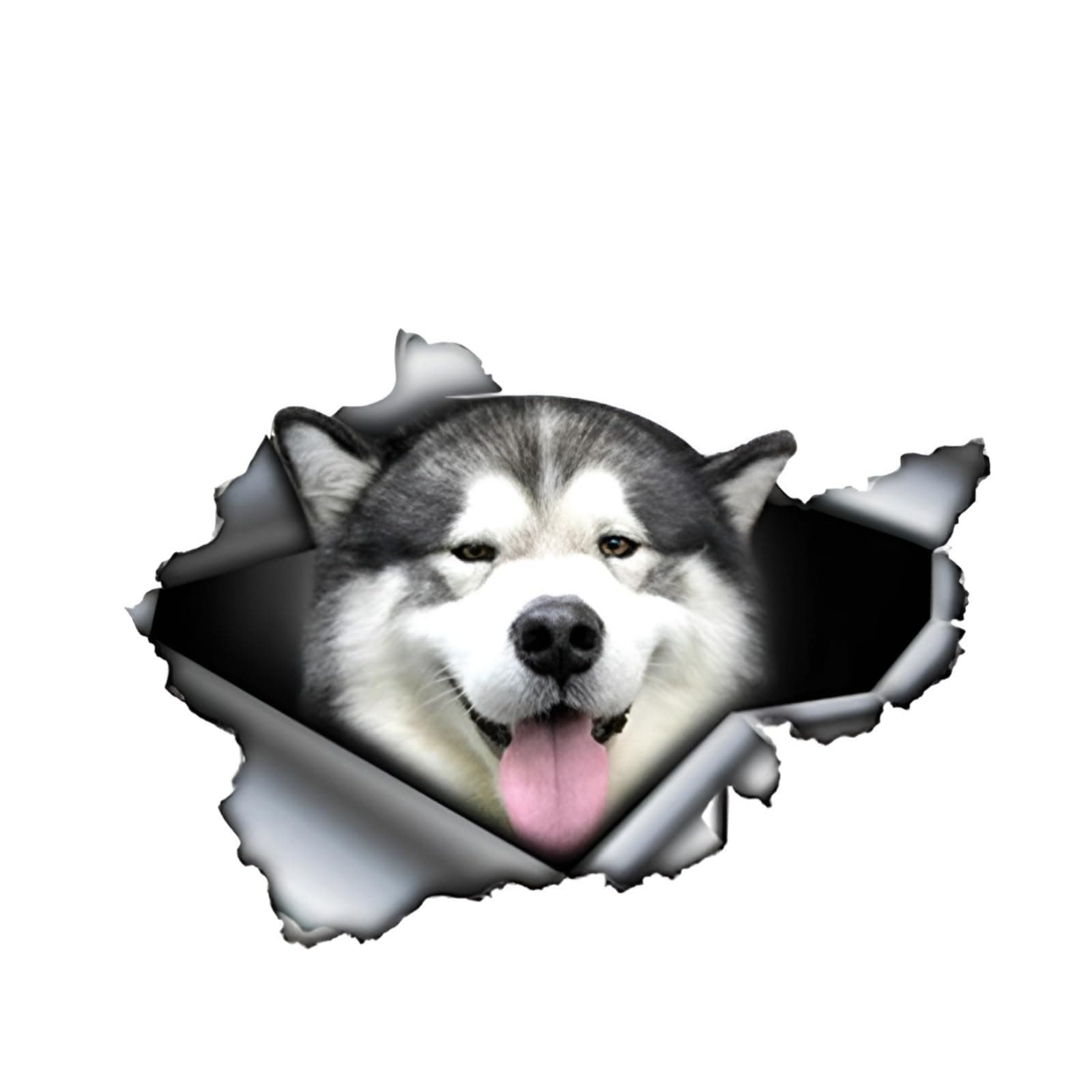 Autoaufkleber 22cm(8.7 Inch) Alaskan Malamute 3D Zerrissen Autoaufkleber 🐶🚗