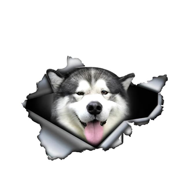 Autoaufkleber 22cm(8.7 Inch) Alaskan Malamute 3D Zerrissen Autoaufkleber 🐶🚗