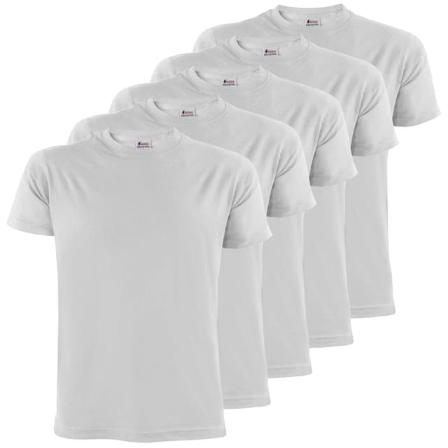 ALPIDEX Herren T-Shirts 5er Set Rundhals einfarbig S M L XL XXL 3XL 4XL 5XL L Cloud ⛅️