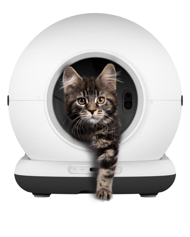 🐱🚽 Zedar K1200 Automatisches Katzenklo – Selbstreinigende Katzentoilette mit App 📱🐾