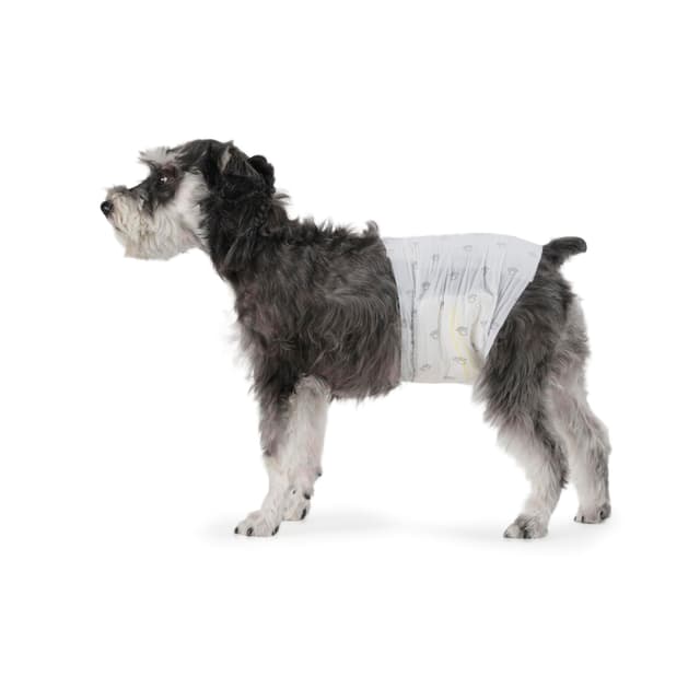 🐶🩹 Amazon Basics Hundewindel für Rüden, Einwegwindeln, Mittel (Pack of 50), Weiß - Angebot