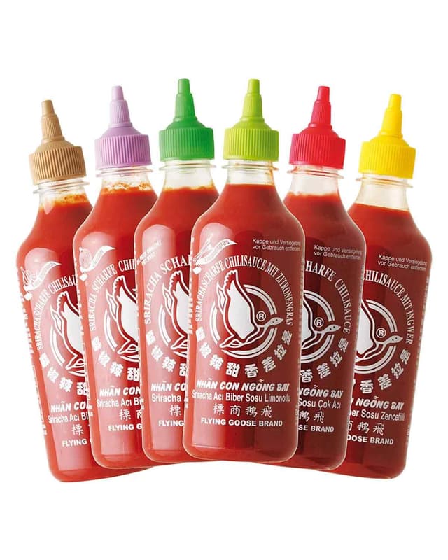 FLYING GOOSE Sriracha scharfe Chilisaucen Mischkarton - 6 Geschmacksrichtungen 🌶️🔥