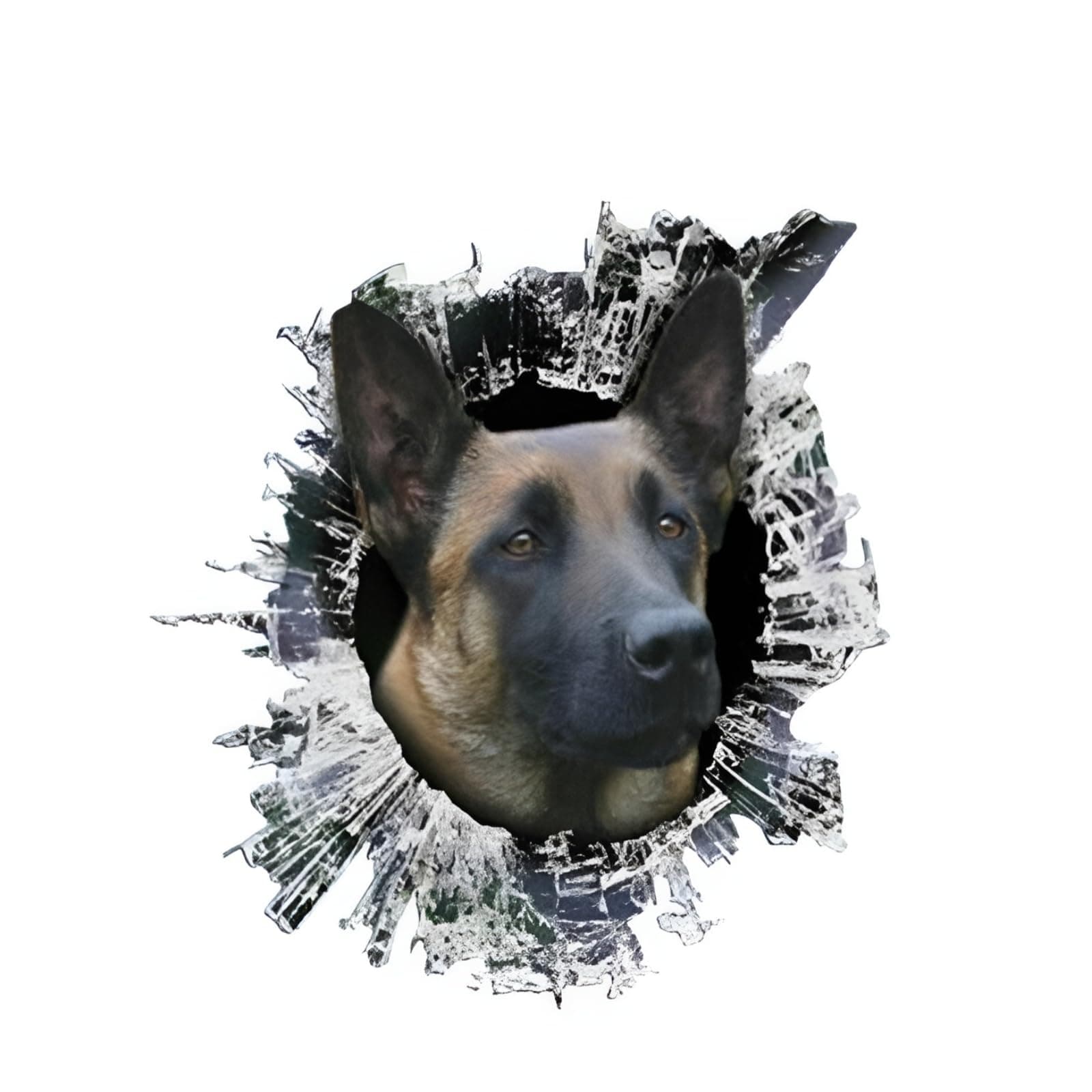 Belgische Malinois 3D Zerrissen Autoaufkleber - Lustige Dekoration für Tierliebhaber 🐶🚗