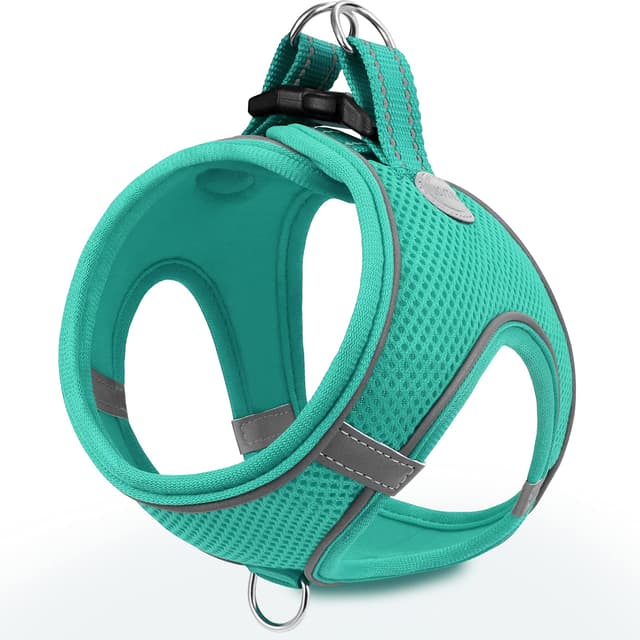 🐶 Joytale Hundegeschirr, Reflektierend Weich Gepolstert Hunde Geschirr, Air-Mesh Atmungsaktiv Brustgeschirr für Kleine Mittelgroße Hunde, L, Türkis L-Brust:47-55cm Türkis 🐾