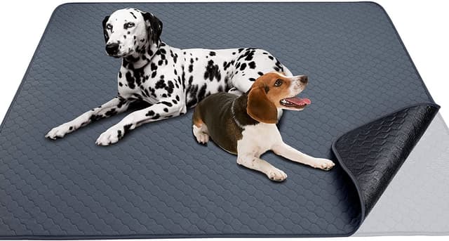 🐾 Snagle Paw Waschbare Haustier-Urinunterlage, 120*120cm | Wiederverwendbar & Rutschfest